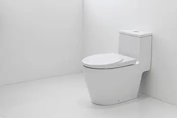 5-Signs-Your-Toilet-Needs-to-be-Replaced
