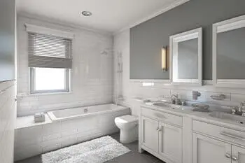 Is Your Builder-Supplied Toilet Good Enough?