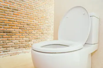 4 Things to Do With an Old Toilet You No Longer Need