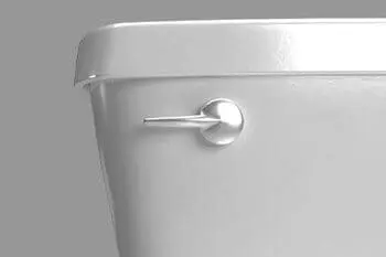 What You Need to Know About Toilet Flushing Capacity