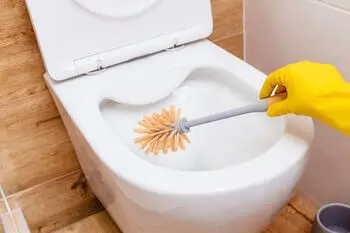 The Anatomy of Your Toilet & How It Works