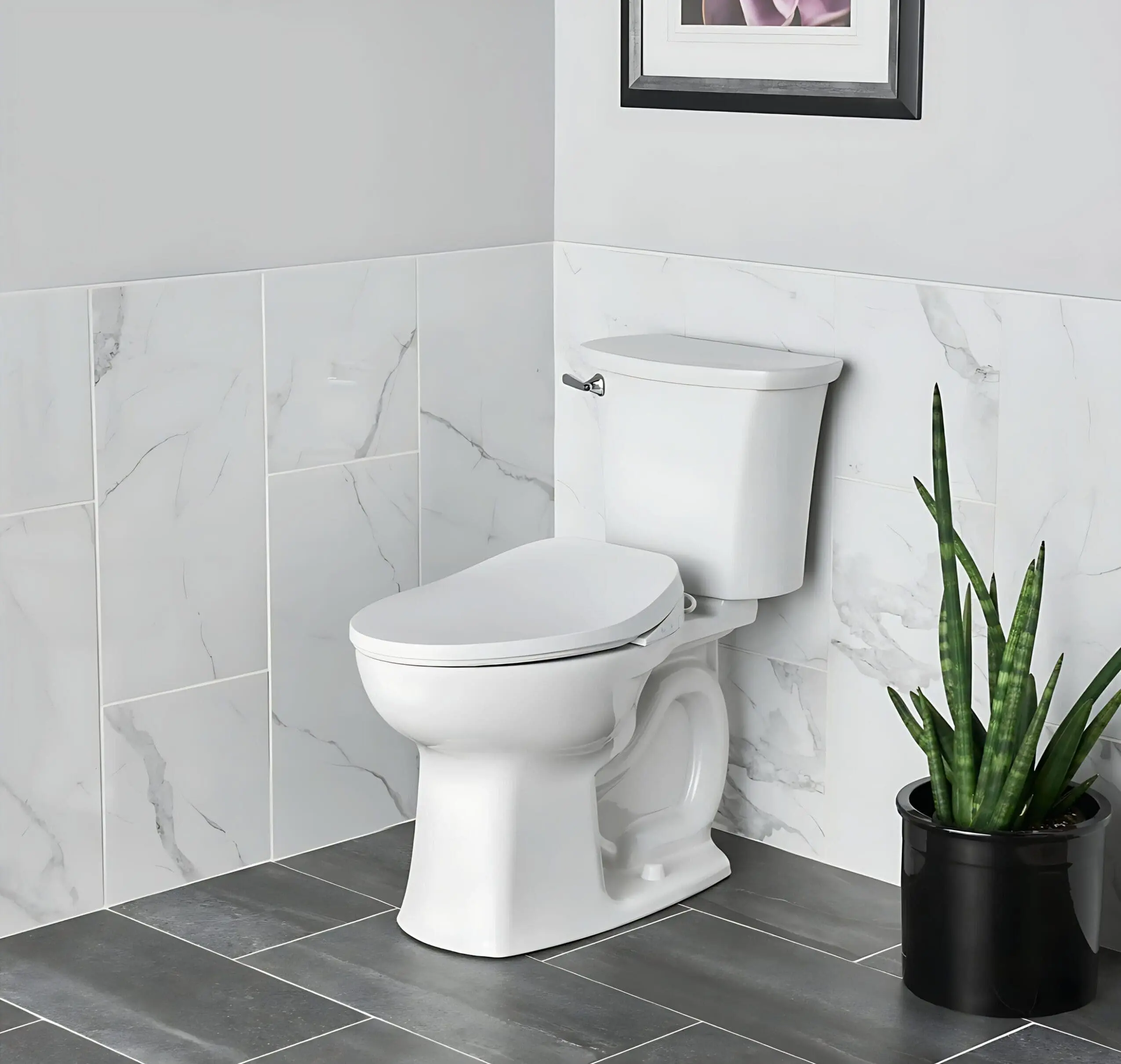 AquaWash® 2.0 Electric SpaLet® Bidet Seat With Manual Operation