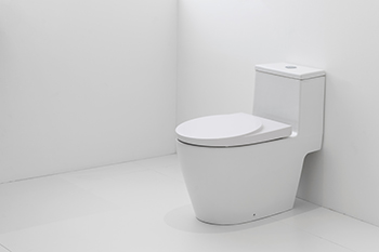 5-Signs-Your-Toilet-Needs-to-be-Replaced