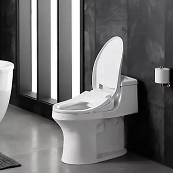Kohler C3®-050 Elongated Bidet Toilet Seat
