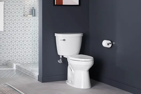 Kohler Cimarron Toilet