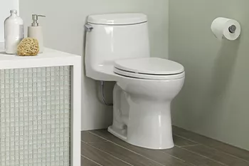 Toto Eco UltraMax Toilet