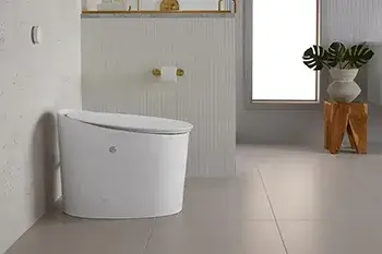 Toilet of the Month Kohler Avoir Tankless Toilet