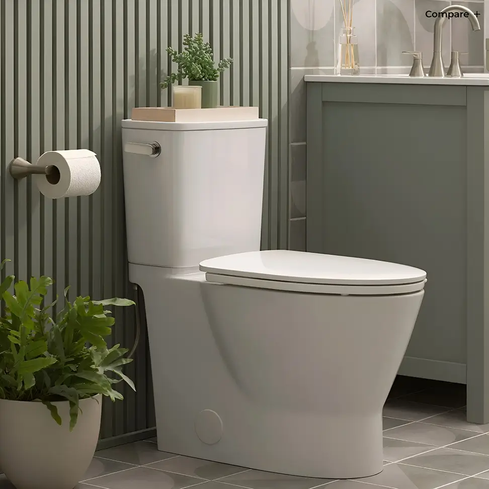 American Standard Aspirations - Image 4