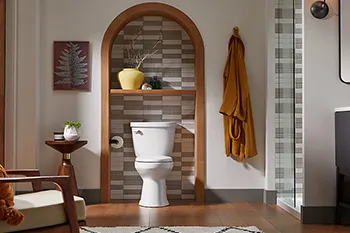 August Toilet of the Month Kohler Cimarron Continuous Clean