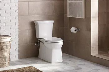 Choosing the Right Toilet for Your Home: A Step-by-Step Guide