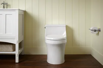 Eco-Friendly Resolutions: How Upgrading Your Toilet Can Save Water & Money