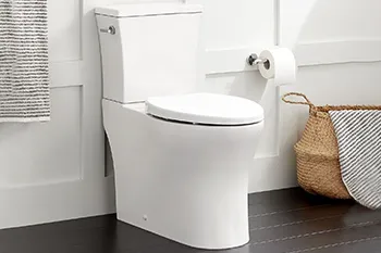 Signature Hardware Clayden Two-Piece Elongated Skirted Toilet