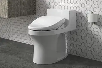 Understanding Toilet Bowl Shapes: Round vs. Elongated