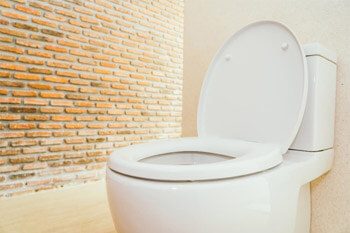 4 Things to Do With an Old Toilet You No Longer Need