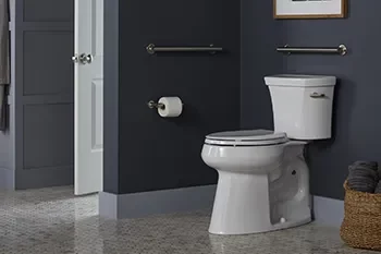 Benefits of Having Professionals Replace Your Toilet