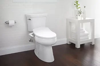 Bidet Seats vs. Traditional Toilets: Which Is Right for You?