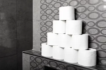 Busting Myths: How Much Toilet Paper Do We Really Need?