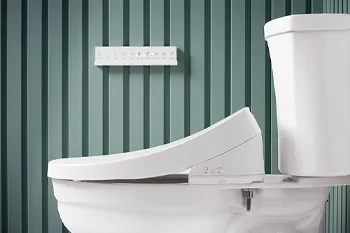 Choosing the Right Toilet Seat for Your Comfort & Style
