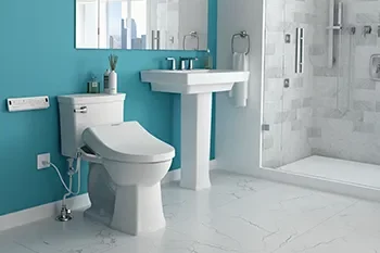 American Standard Edgemere Toilet with AquaWash Bidet Seat