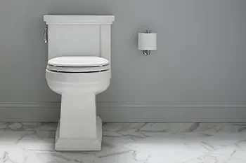 September Toilet of the Month: Kohler Tresham Two-Piece Elongated Toilet